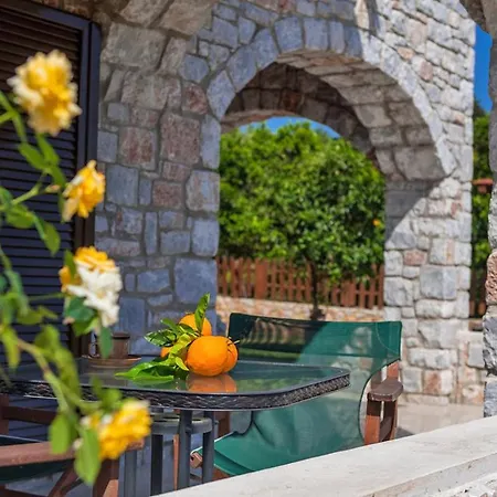 Cretan * Gerani (Chania)